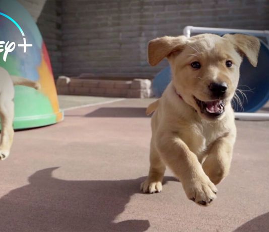 5a92935d 1cac 45a5 8314 8abd671fa7cb