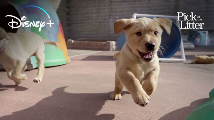 5a92935d 1cac 45a5 8314 8abd671fa7cb 5a92935d 1cac 45a5 8314 8abd671fa7cb