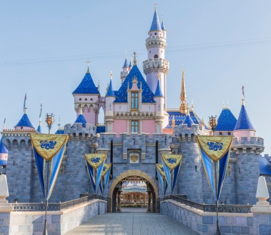 Sleeping Beauty Castle 