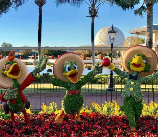 6B9E5608 550C 48E5 85C4 3C463C3688E2