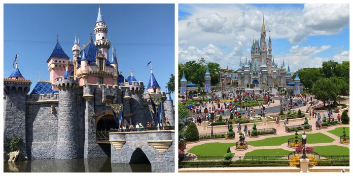 disney scaled disney scaled