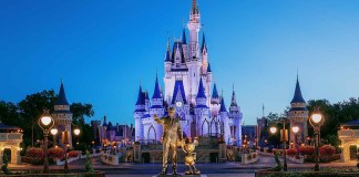 wdw2