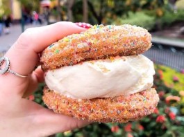 055C9CDE E13E 4701 9CA8 E2BBA5B7FA16