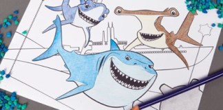 shark