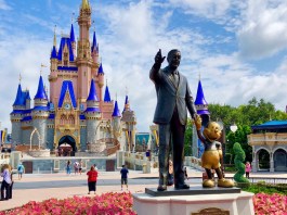 0214D645 51A1 40F0 BA8A 02486ECE06C3