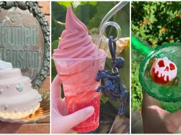 9a452a44 f4b4 49eb 8bc8 81cd086798ea scaled