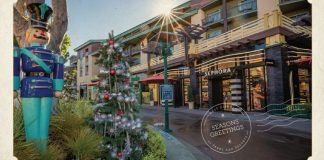 DTD holidays