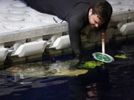 mdk203984029348029384