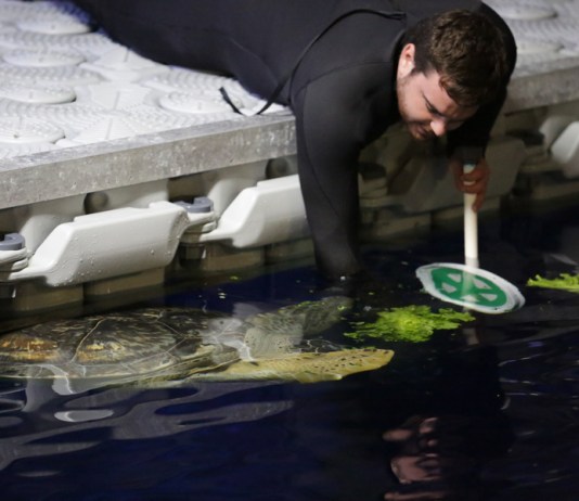 mdk203984029348029384