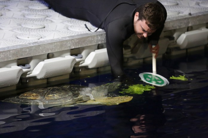 mdk203984029348029384 mdk203984029348029384