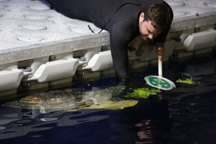 mdk203984029348029384