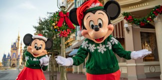 mickey wdw