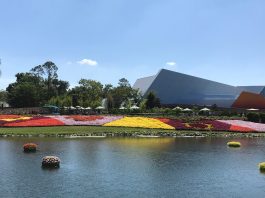 flower garden scaled