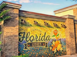 6BD30A09 8795 4C94 BE70 CE950C8107A2