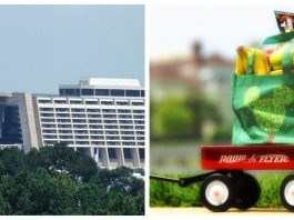 wdw groceries scaled