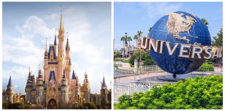 disney universal scaled