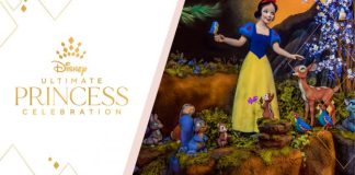 178746874 281871197011389 3805531881087430973 n