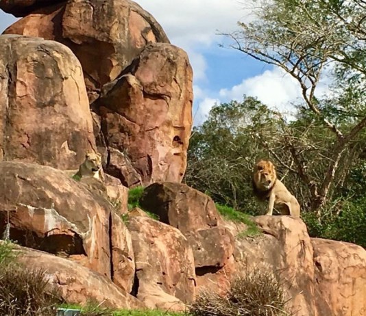 358E6B3C C1AB 4823 8845 DDEC85E6C830