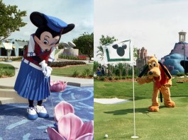 26B5151F 1FF6 488C A625 F4B9B8E707E2