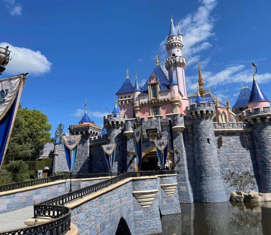 disneyland castle scaled