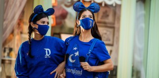 disneyland adults