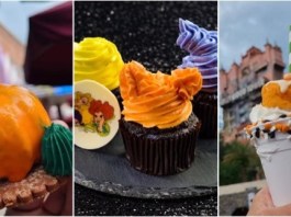 48814b88 0569 46fb 9af2 6a7b9535ff12