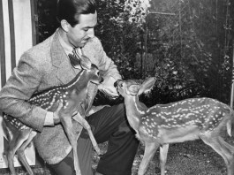 file 20170807 25514 6x4hdk1