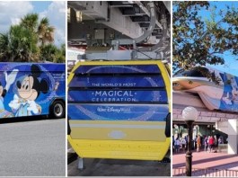 7a3fb961 98aa 4c55 90ab ceb5a5f2fd6c