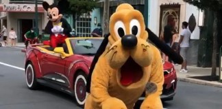 D7F513E1 F1DD 47D8 9B7C 91FBF437199A