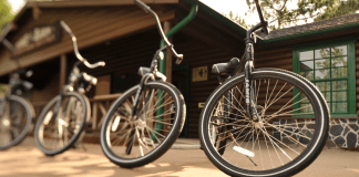bike rentals