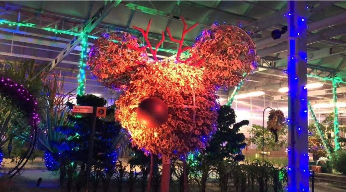 85839976 1113 4254 BE31 13C0211CAD65 85839976 1113 4254 BE31 13C0211CAD65