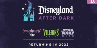 disneyland after dark