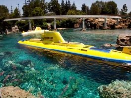 644DFF81 DABD 4DBD A63C 9ED6842FB24F