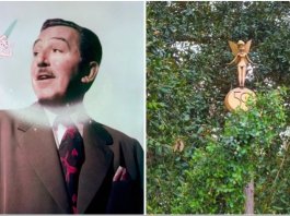 a3c42016 f368 413e bfa5 e1d9e9f7db18