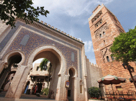 273386936 1146146566145703 3030302689016578786 n