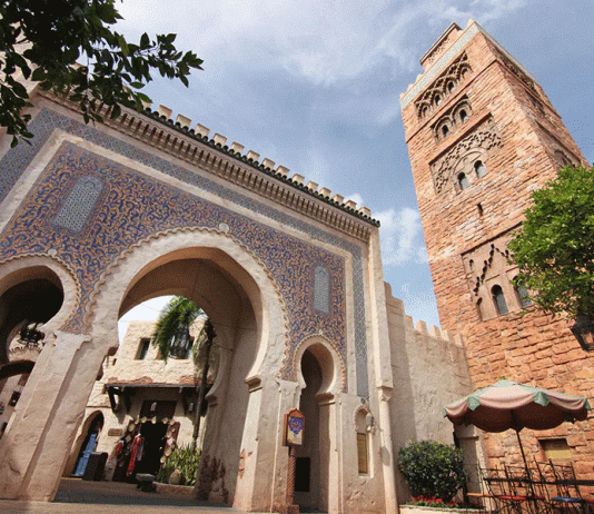 273386936 1146146566145703 3030302689016578786 n