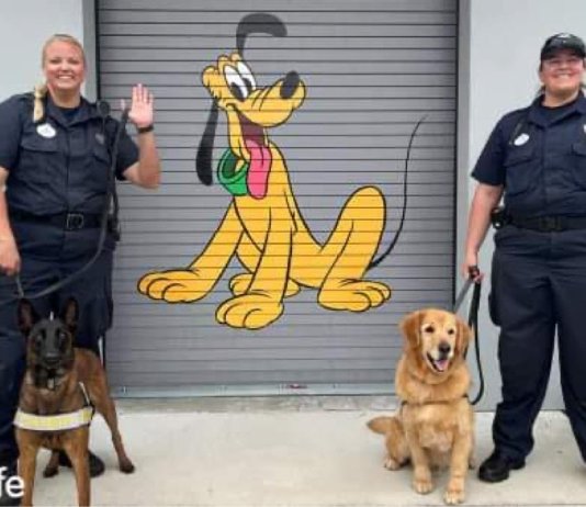 D260E24F FB2F 41D7 86CF 5506B78536F8