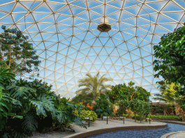 274063836 698520721222575 2018148338404856776 n