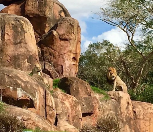 502E0012 67D6 4086 8937 D97B7AFDC75F