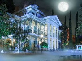 081219 HM iris 780x440 1565645064