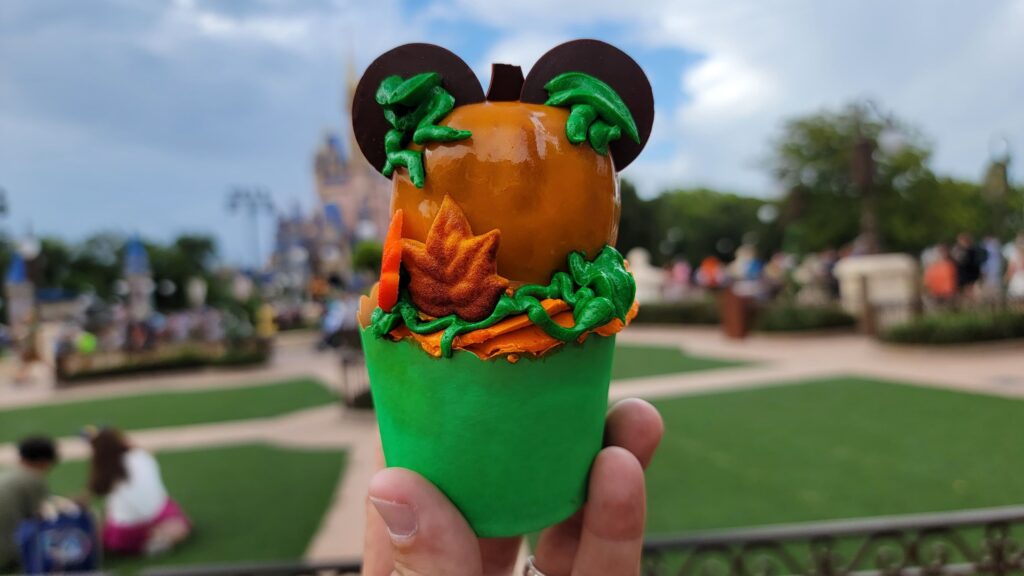 2022 Mickey's Not So Scary Halloween Party Review 15
