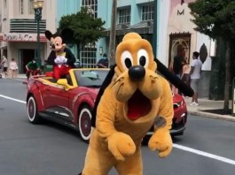 A9EC01A5 A7AB 4587 A950 C32FA1600A75