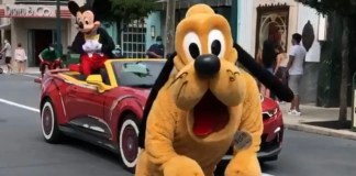 A9EC01A5 A7AB 4587 A950 C32FA1600A75