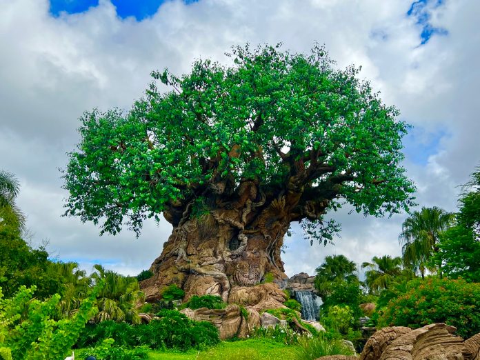 C0433737 4FDA 46FD BBF4 C168F03BEF8F scaled C0433737 4FDA 46FD BBF4 C168F03BEF8F scaled