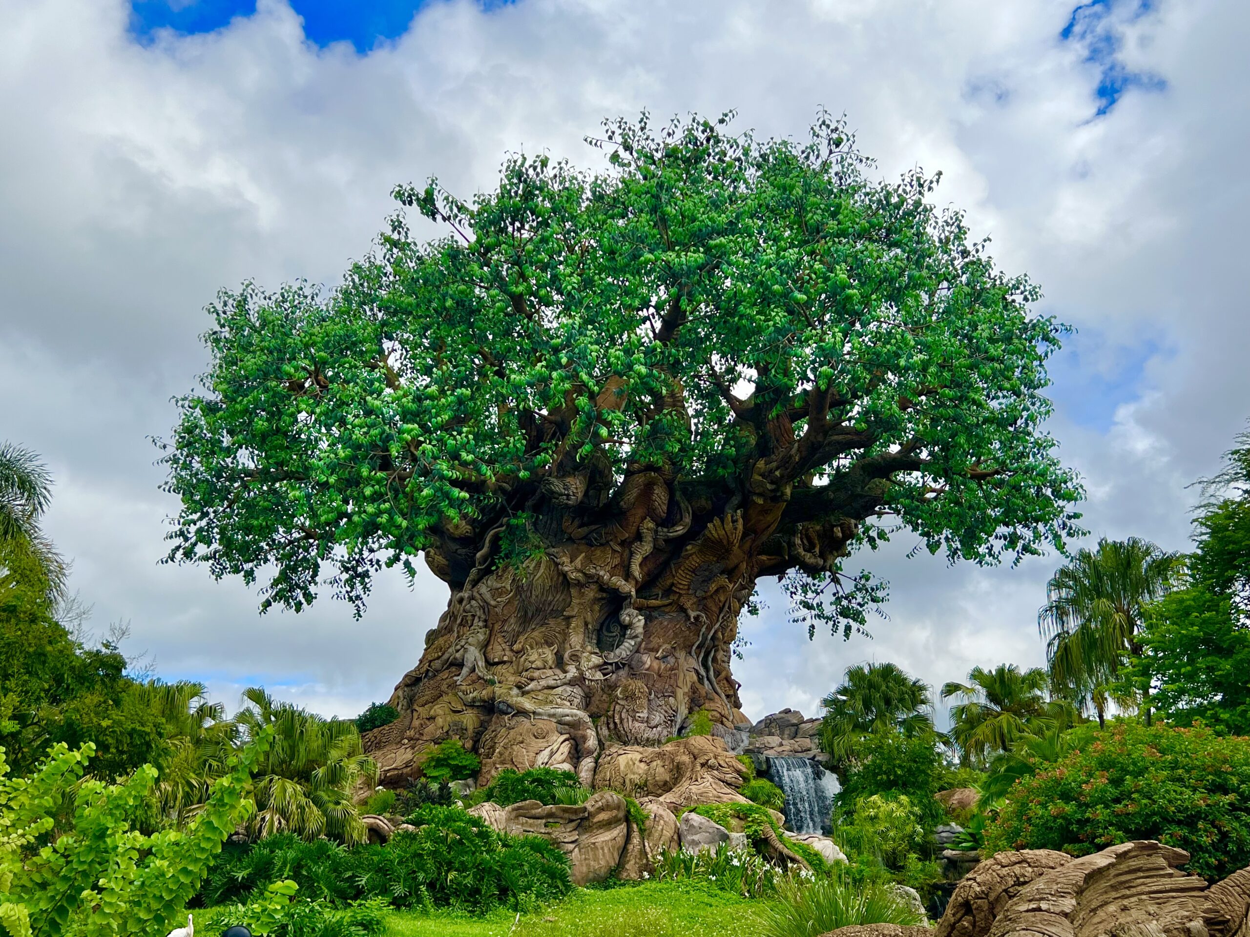 C0433737 4FDA 46FD BBF4 C168F03BEF8F scaled