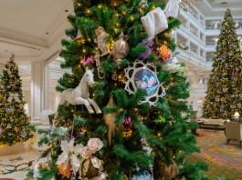 00D7F10A E6D4 49B0 9BA1 14A5D79223D6