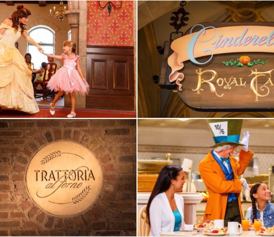 0611A022 CE3F 4945 8DF6 7DE798753860