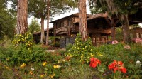 Best Disney World Hotels and Resorts according to Yelp 548EA995 EFBD 407C AC9D 2D360DA50B1A