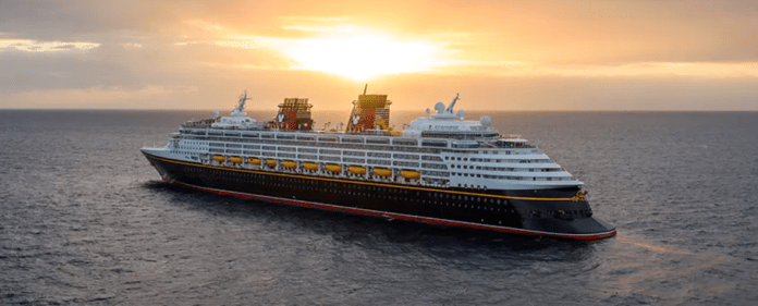 disney wonder disney wonder