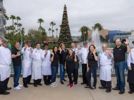 Disney World Cast Members